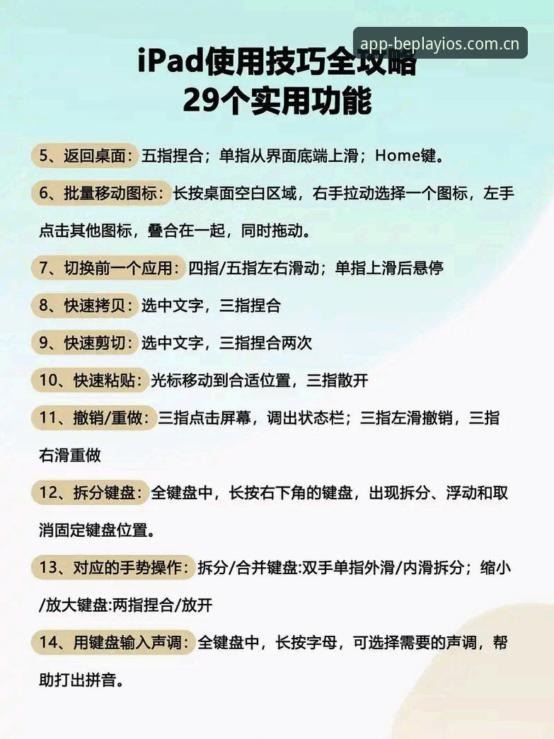 新手必看：beplay体育平台使用心得，资深用户手把手教你操作